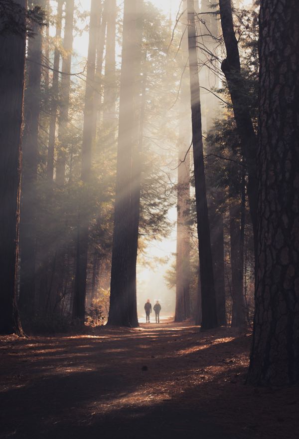 Casey Horner D4TooCIEyF4 Unsplash 2