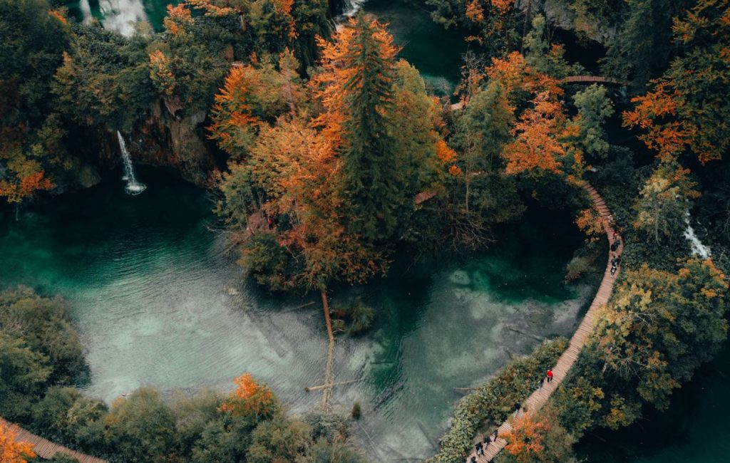 Peter Jan Rijpkema WI6o8OwUwdw Unsplash 2 1024x650